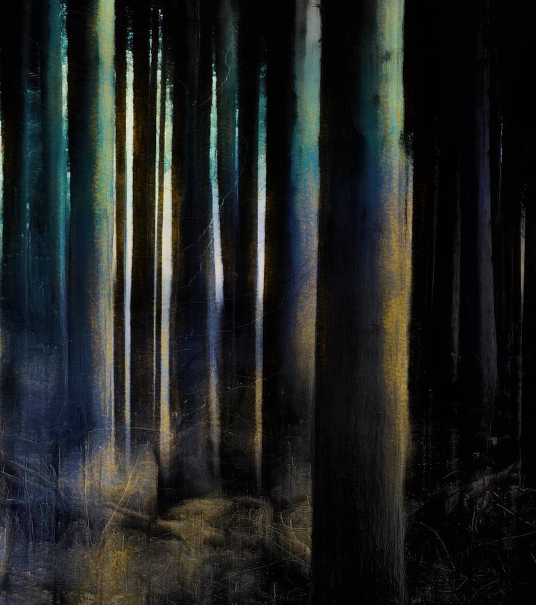 Original Digital Art Landscape Photography by Jacob Berghoef