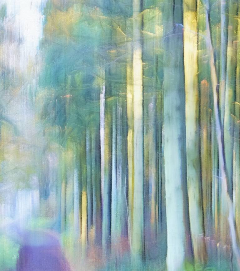 Original Figurative Landscape Photography by Jacob Berghoef