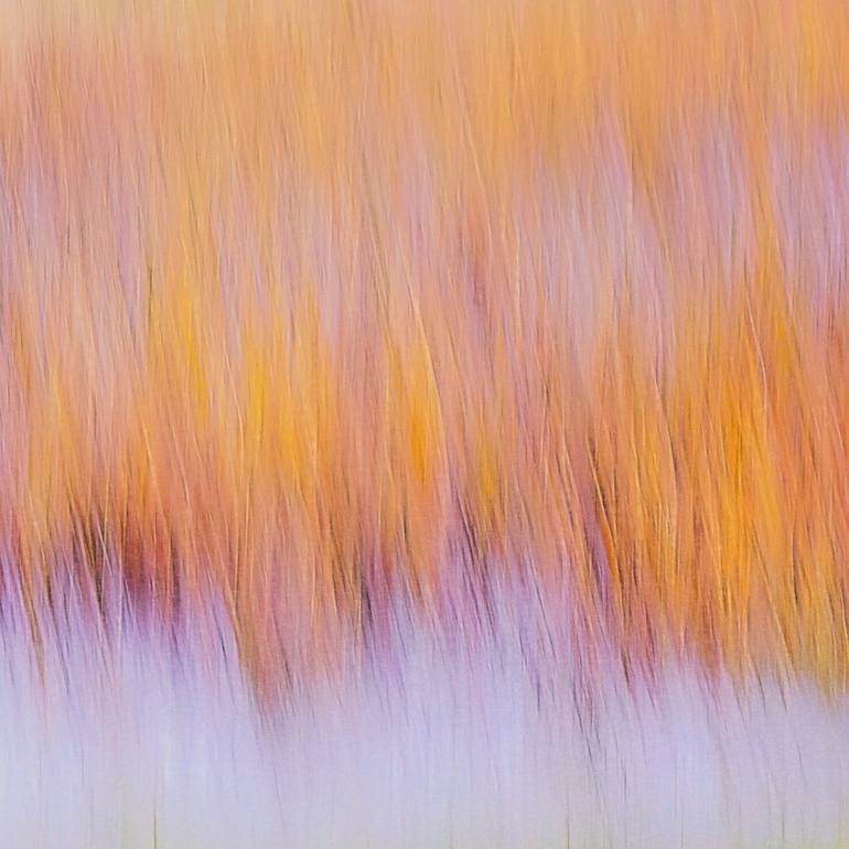 Original Impressionism Nature Photography by Jacob Berghoef