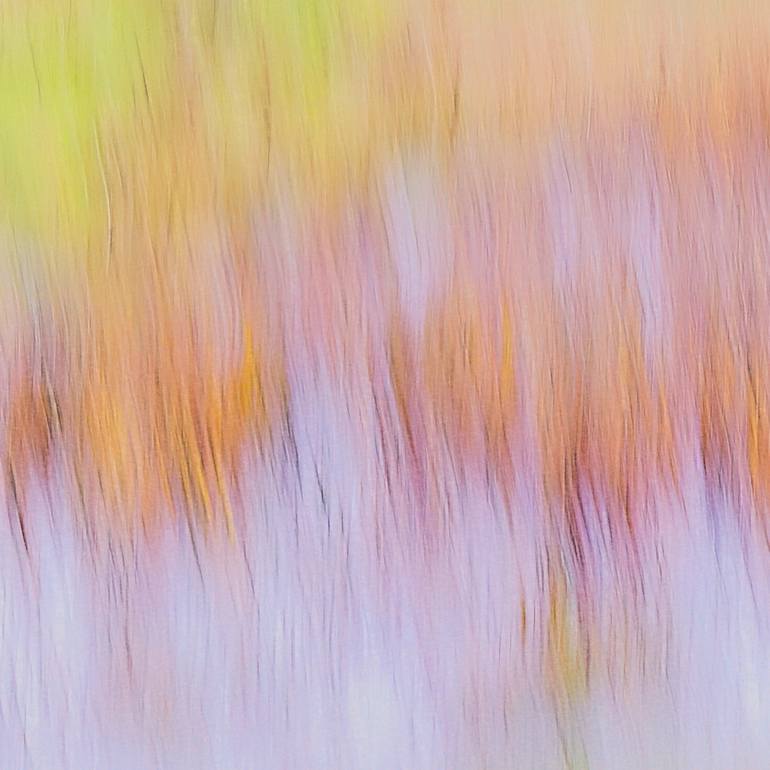 Original Impressionism Nature Photography by Jacob Berghoef