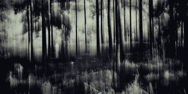 Original Impressionism Landscape Photography by Jacob Berghoef
