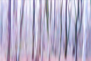 Original Abstract Nature Photography by Jacob Berghoef