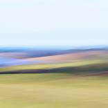 Collection Wavy Fields