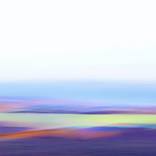 Collection Wavy Fields