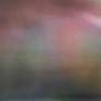 Detail 1