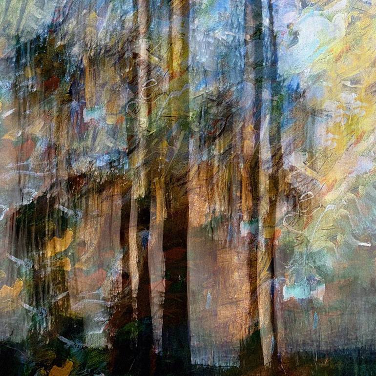 Original Expressionism Landscape Photography by Jacob Berghoef