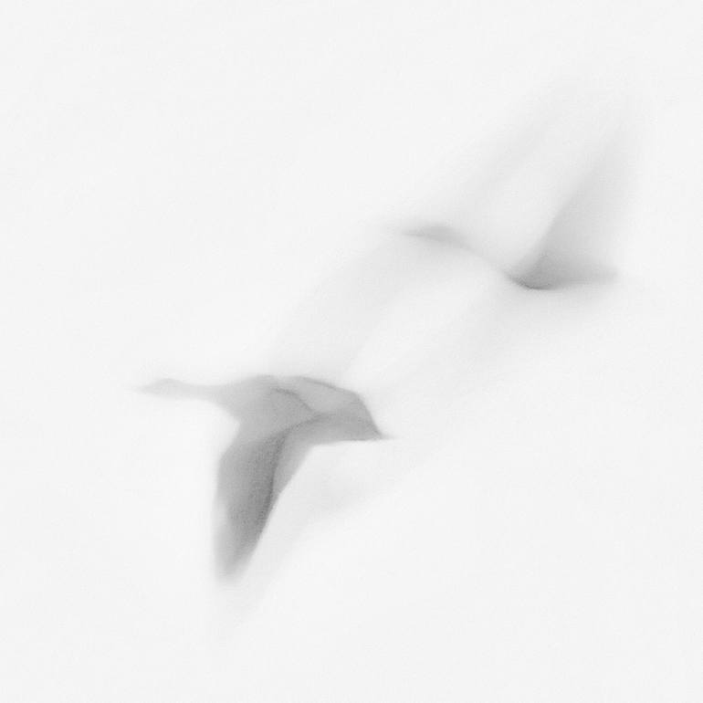 Original Impressionism Nature Photography by Jacob Berghoef