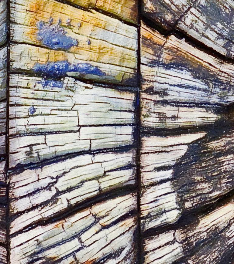 Original Expressionism Abstract Photography by Jacob Berghoef