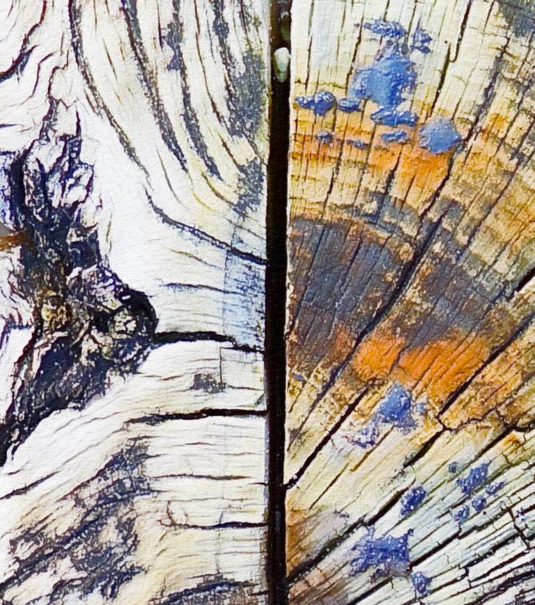Original Expressionism Abstract Photography by Jacob Berghoef