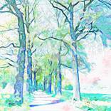 Collection The Narrow Path