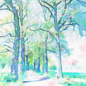 Collection The Narrow Path