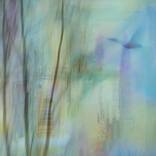 A Glimpse Of Flight by Jacob Berghoef