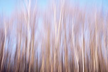 Original Impressionism Nature Photography by Jacob Berghoef