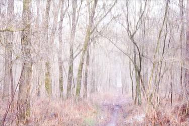 Yawning winter morning - Limited Edition of 4 thumb