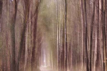 Original Impressionism Landscape Photography by Jacob Berghoef