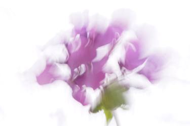 Scent of a brushstroke - Limited Edition of 4 thumb