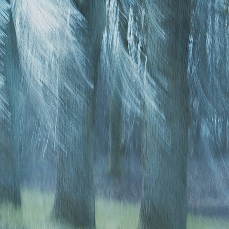 Original Impressionism Abstract Photography by Jacob Berghoef