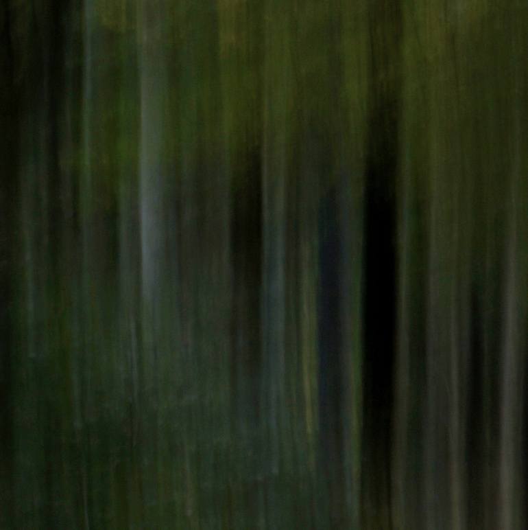 Original Impressionism Abstract Photography by Jacob Berghoef
