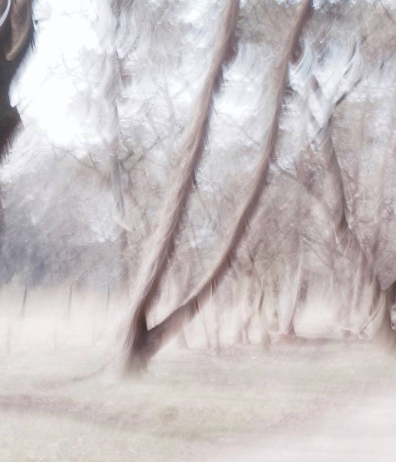 Original Expressionism Landscape Photography by Jacob Berghoef