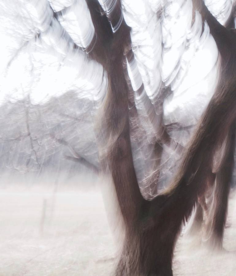 Original Expressionism Landscape Photography by Jacob Berghoef