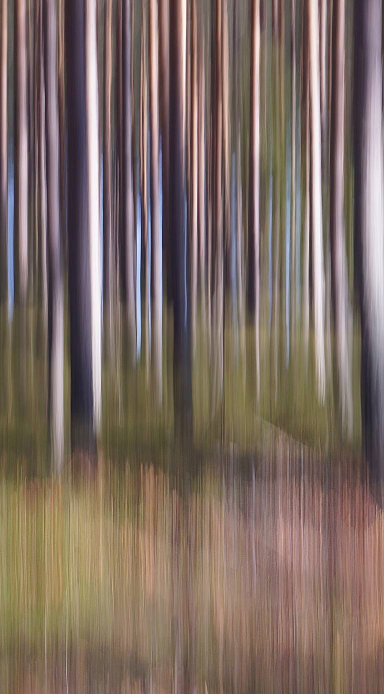 Original Abstract Expressionism Abstract Photography by Jacob Berghoef