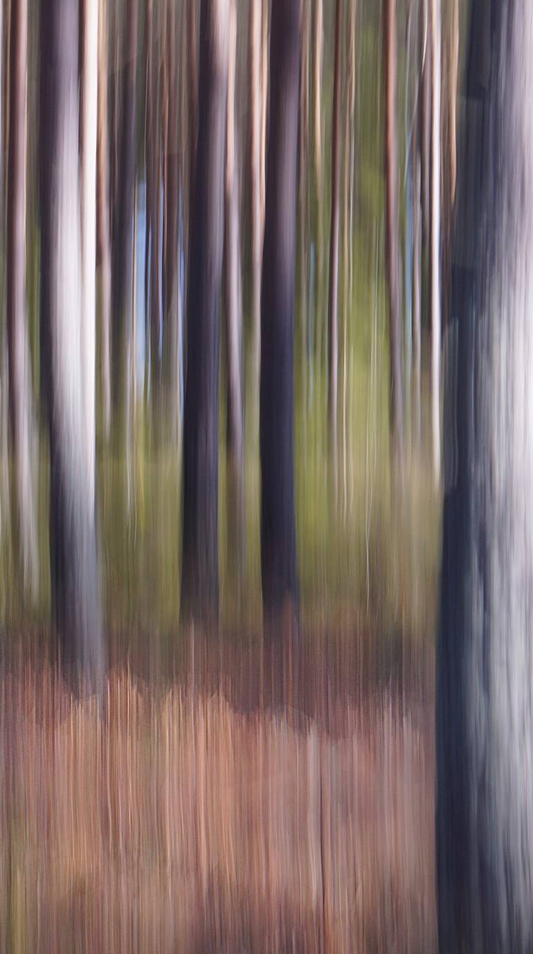 Original Abstract Expressionism Abstract Photography by Jacob Berghoef