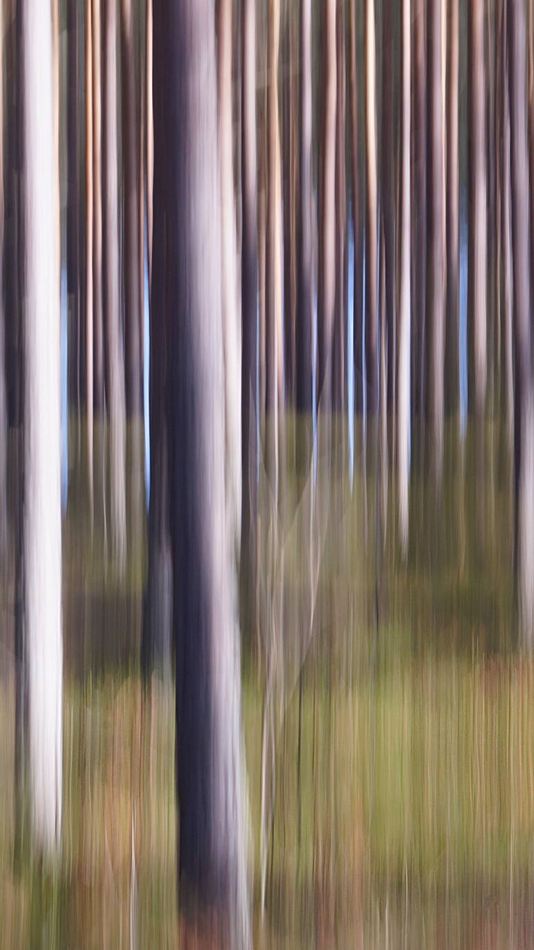 Original Abstract Expressionism Abstract Photography by Jacob Berghoef