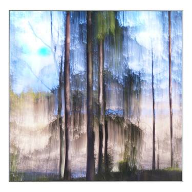 Crying Pine Tree - framed - Limited Edition of 4 thumb
