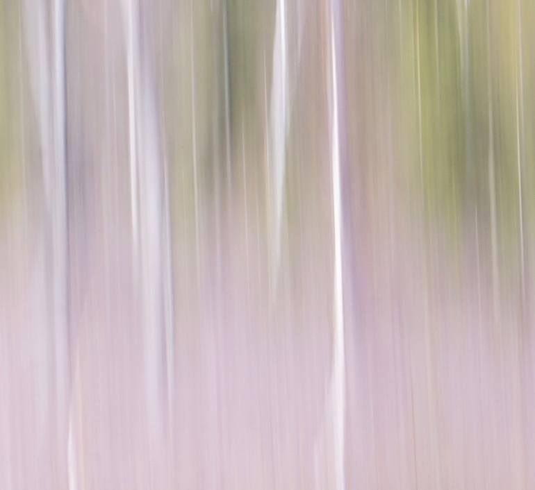 Original Abstract Realism Abstract Photography by Jacob Berghoef