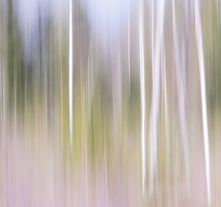 Original Abstract Photography by Jacob Berghoef