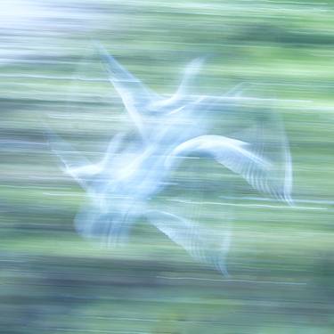 Original Fine Art Abstract Photography by Jacob Berghoef