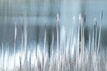 Print of Impressionism Nature Photography by Jacob Berghoef