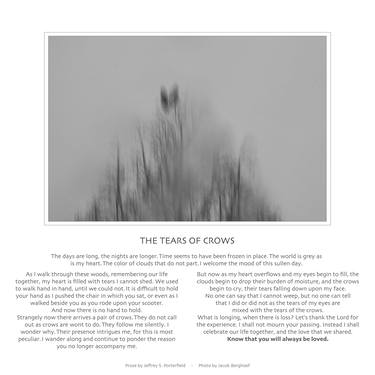 Tears of crows - Limited Edition of 4 thumb