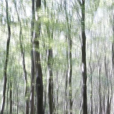 Original Impressionism Nature Photography by Jacob Berghoef