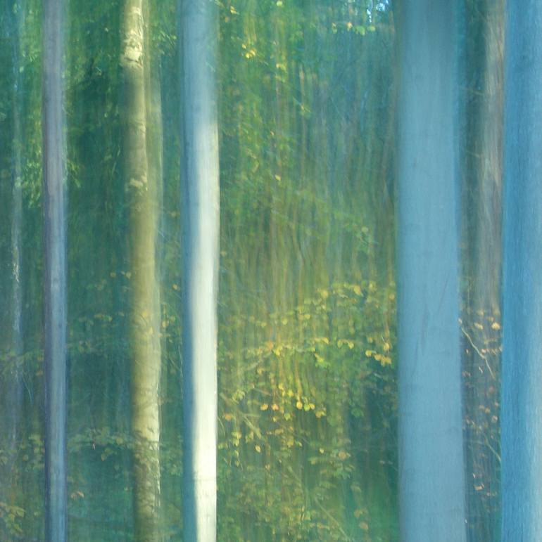 Original Impressionism Nature Photography by Jacob Berghoef