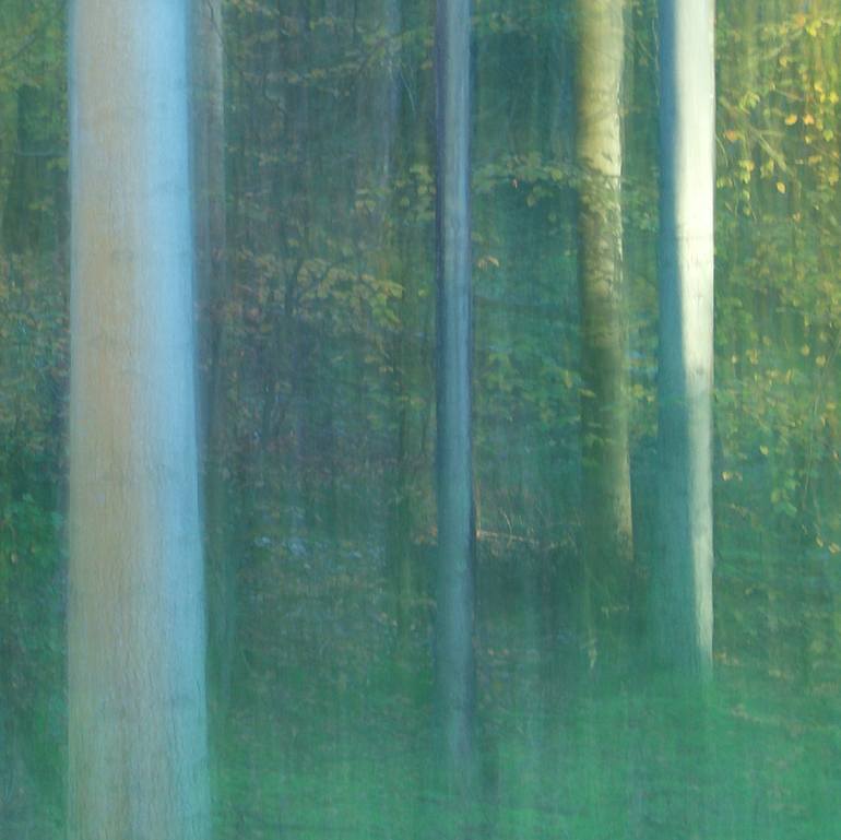 Original Impressionism Nature Photography by Jacob Berghoef