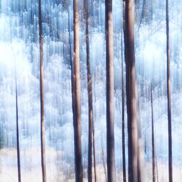 Original Impressionism Nature Photography by Jacob Berghoef