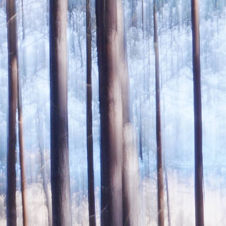 Original Impressionism Nature Photography by Jacob Berghoef