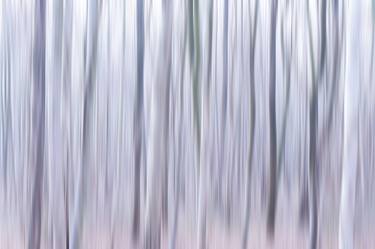 Print of Abstract Nature Photography by Jacob Berghoef