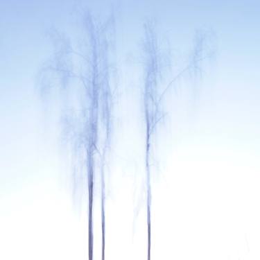 Original Minimalism Nature Photography by Jacob Berghoef