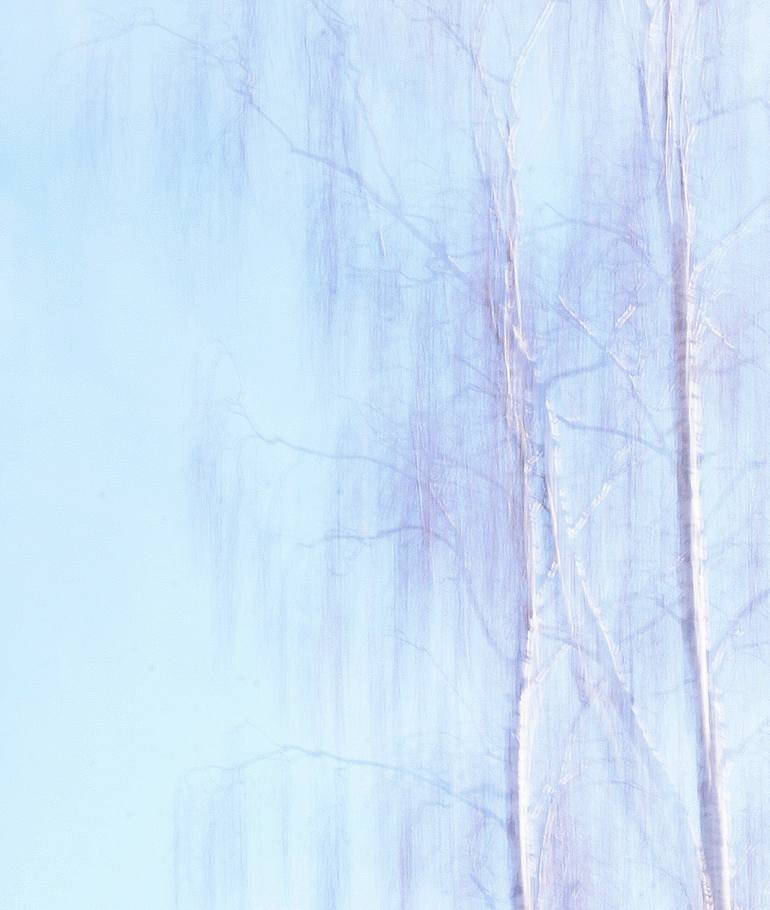 Original Impressionism Nature Photography by Jacob Berghoef