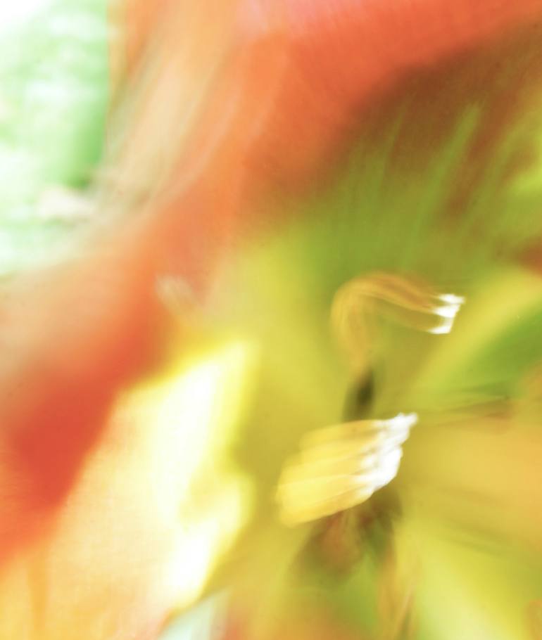 Original Abstract Floral Photography by Jacob Berghoef