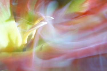 Original Abstract Floral Photography by Jacob Berghoef