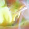 Detail 1