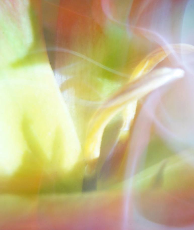 Original Abstract Floral Photography by Jacob Berghoef