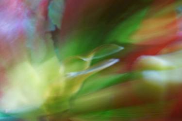 Print of Abstract Floral Photography by Jacob Berghoef