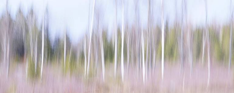 Dancing Trees - Limited Edition of 4 - Print