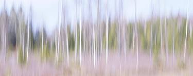 Print of Abstract Landscape Photography by Jacob Berghoef