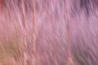 Original Abstract Nature Photography by Jacob Berghoef