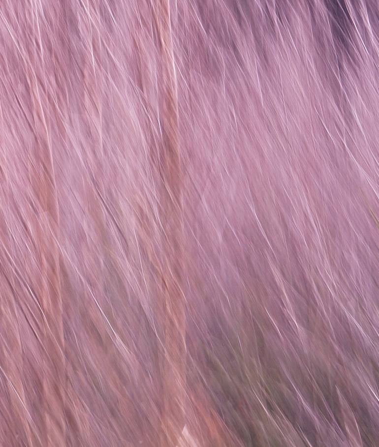 Original Abstract Nature Photography by Jacob Berghoef